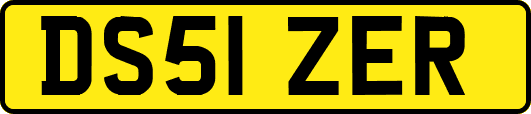 DS51ZER