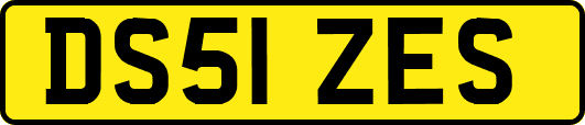 DS51ZES
