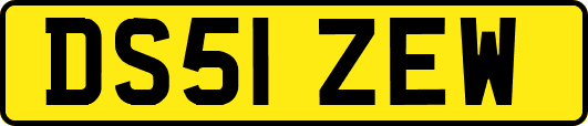 DS51ZEW