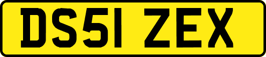 DS51ZEX
