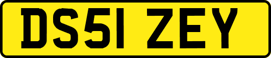 DS51ZEY