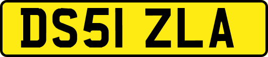 DS51ZLA