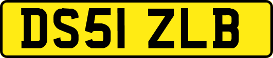 DS51ZLB