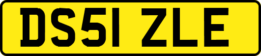 DS51ZLE