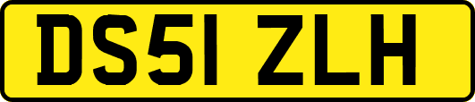 DS51ZLH