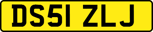 DS51ZLJ