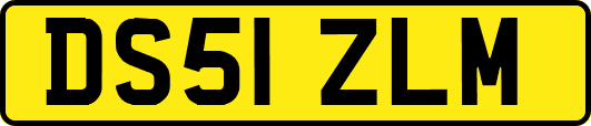 DS51ZLM