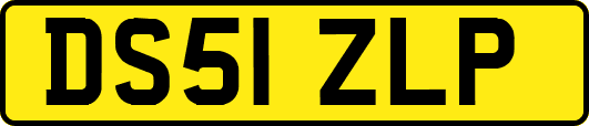 DS51ZLP