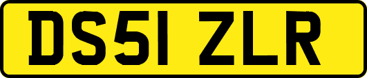 DS51ZLR