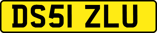 DS51ZLU