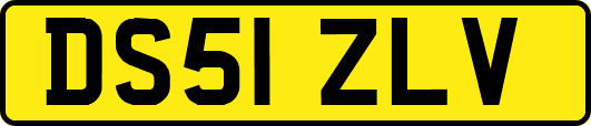 DS51ZLV