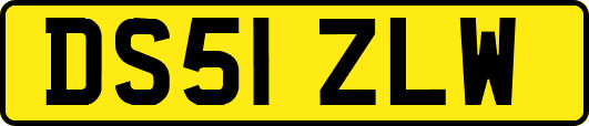 DS51ZLW