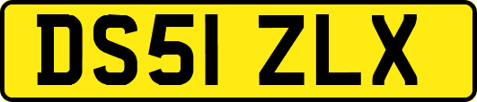DS51ZLX