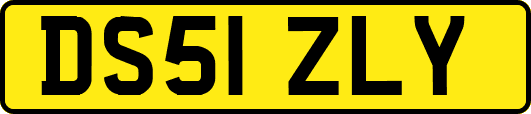 DS51ZLY