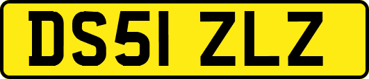 DS51ZLZ