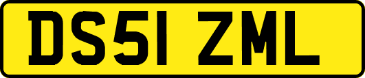 DS51ZML
