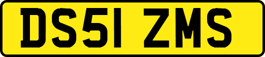 DS51ZMS