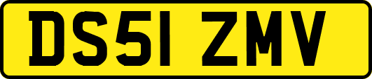 DS51ZMV