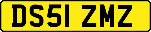 DS51ZMZ