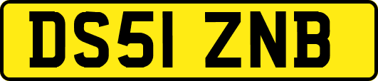 DS51ZNB