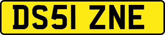 DS51ZNE