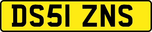 DS51ZNS