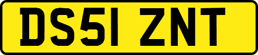 DS51ZNT