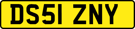 DS51ZNY