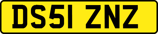DS51ZNZ