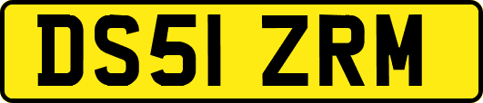 DS51ZRM