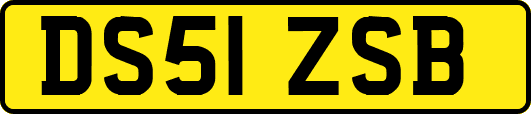 DS51ZSB