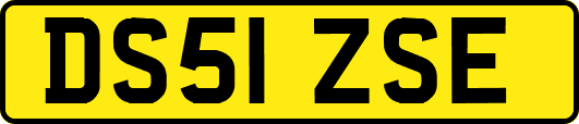 DS51ZSE