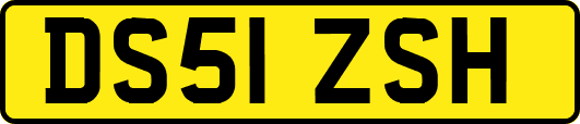 DS51ZSH