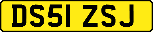 DS51ZSJ