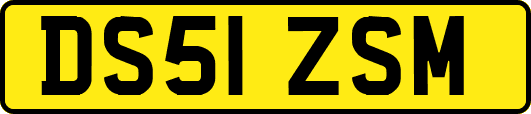 DS51ZSM