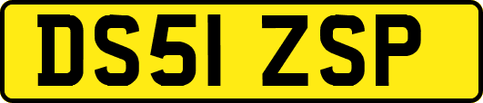 DS51ZSP