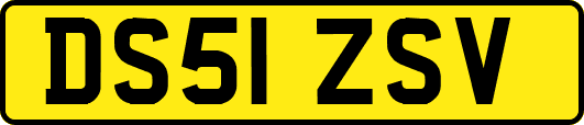 DS51ZSV