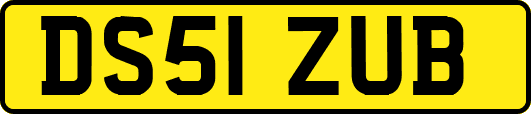 DS51ZUB