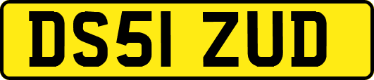 DS51ZUD