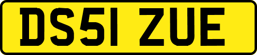 DS51ZUE