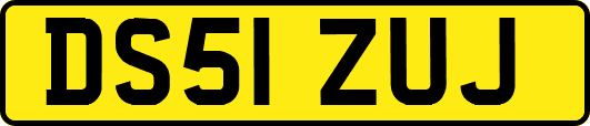 DS51ZUJ