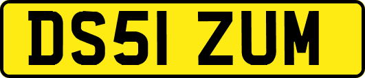 DS51ZUM