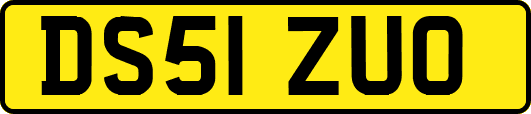 DS51ZUO