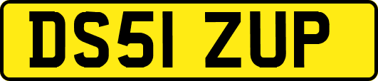 DS51ZUP