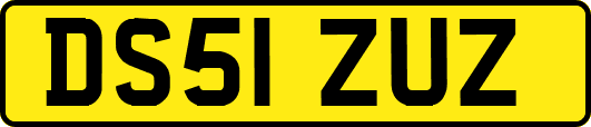 DS51ZUZ