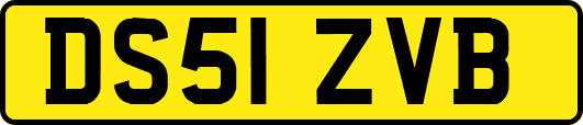 DS51ZVB