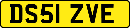 DS51ZVE