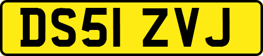 DS51ZVJ