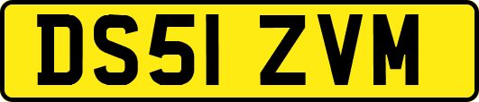 DS51ZVM