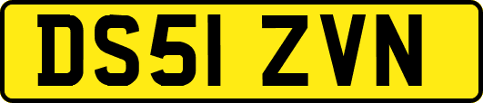 DS51ZVN